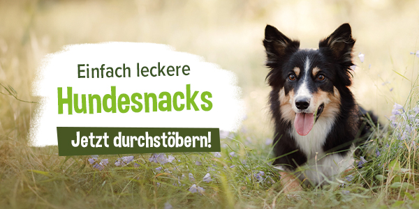 Schecker's Hundesnacks