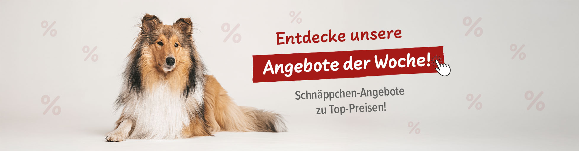 % Angebot der Woche %