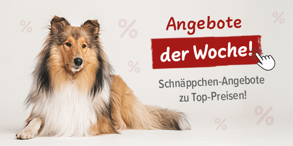 % Angebot der Woche %