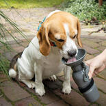 Hunde-Trinkflasche NIA