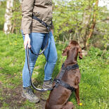 Rukka pets Hike belt+leash