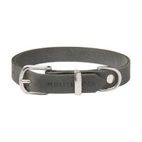 Molly & Stitch Butter Leder Hundehalsband